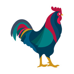 Rooster red cock vector animal.