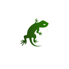 Lizard Vector
