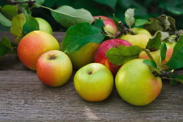 Sweet fresh ripe red apple harvest background