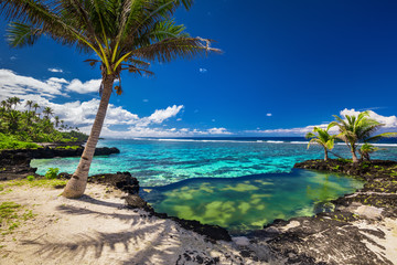Infinity rock pool with palm trees over tropical ocean lagoon