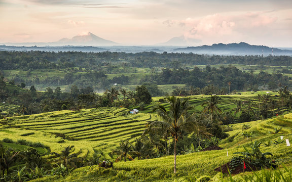 Jatiluwih, Bali, Indonesia