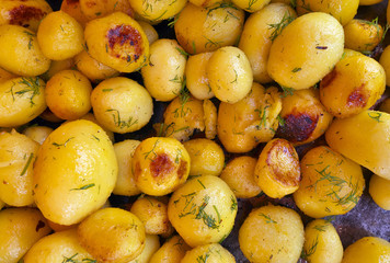 French fried potatoes.