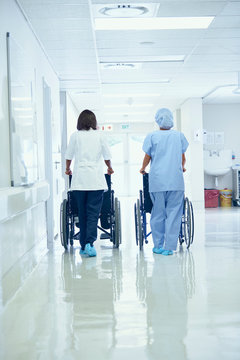 Rear view of female orderlies pushing wheelchairs along hospital corridor