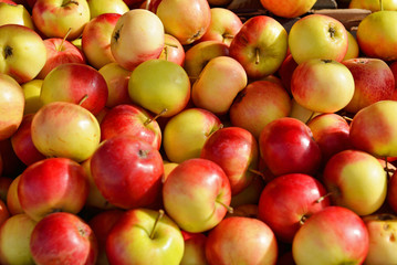 Red apples background