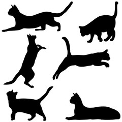 Cats collection - vector silhouette