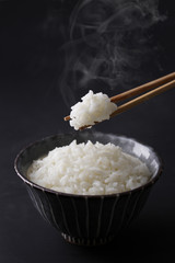 白米のご飯　Japanese rice