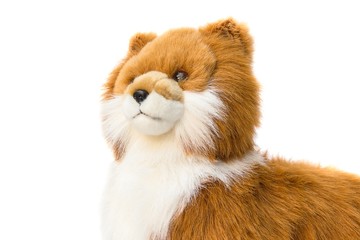 Obraz premium Dolly Dog Cute Close up toy beautiful on white background