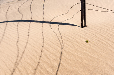 Stacheldraht Schatten auf Sand, Kolmanskop, Lüderitz, Namibia