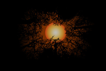 halloween red moon with trees