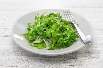 cilantro salad, coriander salad