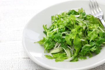 cilantro salad, coriander salad