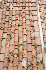 roof tile