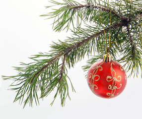 Christmas and new year red ball on the fir tree