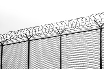 Barbed Wire Fence