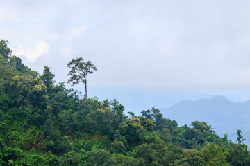 Morning foggy hills with blue sky background