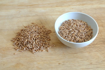 Farro