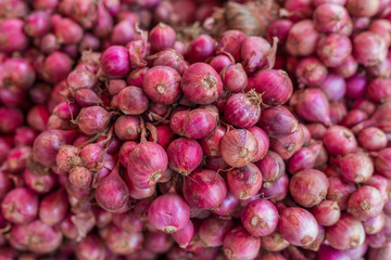 Shallots