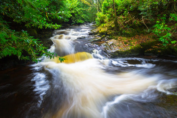 Irish creek of Clare Glens in Co. Limerick