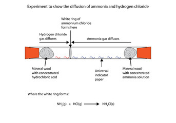 Illustration of ammonia and hydrogen chloride difussion