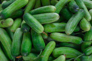 cucumber