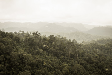 View of foggy mountains in Thailand, Vintage tone.