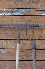 pitchfork and rake on the background of planks