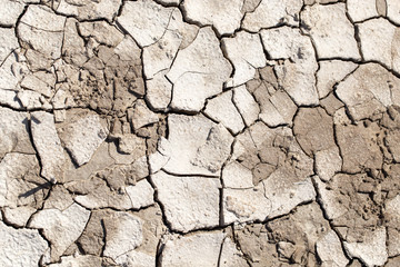 cracked earth as a background. texture