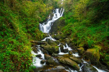 Gartenposter Torc waterfall in Killarney National Park, Ireland © Patryk Kosmider