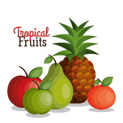 tropical fruits fresh banner vector illustration design