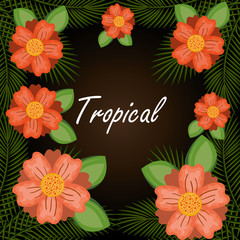 tropical flowers garden background vector illustration design