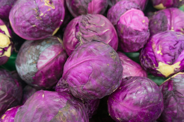 Fototapeta na wymiar Fresh Purple Cabbage