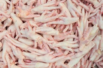 Fresh Raw Chicken Feet
