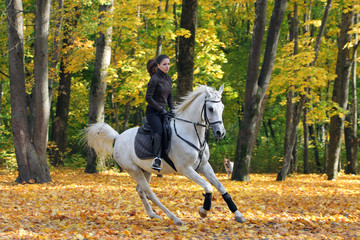 Equestrian girl galloping her horse in autumnal nature