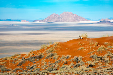 Spektakulärer Blick über das Namibrandgebiet mit Oryx am Rande der Namib, Namibia