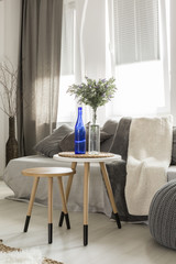 Light living room idea