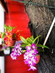 Fototapeta na wymiar fake orchid flower in the pot