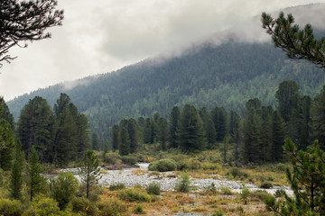 River in the Altai mountains, Russia