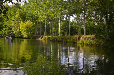 Fototapeta na wymiar Embarqué dans le Marais Poitevin sur l'eau bordées de peupliers à Damvix (85420), département de la Vendée en région Pays de la Loire, France 