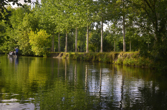Embarqu&eacute; dans le Marais Poitevin sur l'eau bord&eacute;es de peupliers &agrave; Damvix (85420), d&eacute;partement de la Vend&eacute;e en r&eacute;gion Pays de la Loire, France	