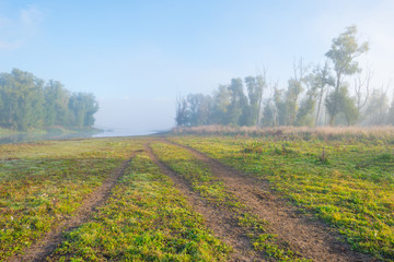 Path through a foggy field at sunrise