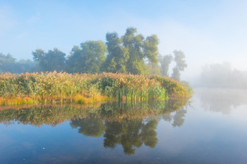 Fototapeta na wymiar Shore of a foggy lake at sunrise in autumn