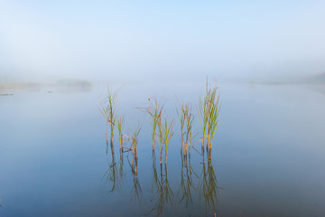 Shore of a foggy lake at sunrise in autumn