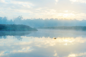 Shore of a foggy lake at sunrise in autumn