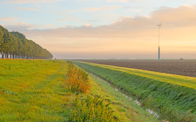 Wind turbine in a foggy field at sunrise