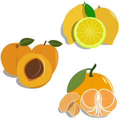 group of different fruit, vector flat
