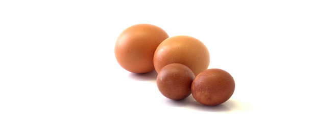 Four brown chicken eggs on a white background