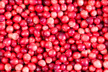 Full frame background texture of ripe cranberries