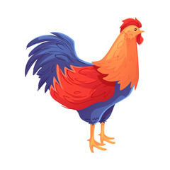 Full body of colorful rooster, cartoon vector illustration isolated on white background. Side view ofbright and colorful rooster, standing on white background