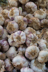 ein haufen knoblauchknollen