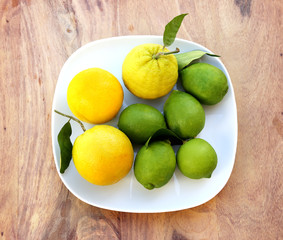 Different refreshing citrus fruits. Cocktail ingredients.Fresh fruits citruses on a dark wooden background. Fruit set.Green lemon